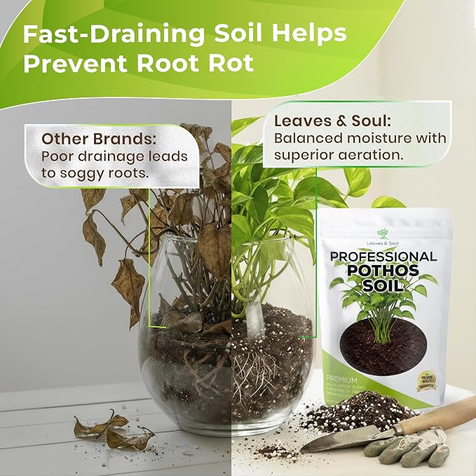 Professional Pothos Soil Potting Mix 2.2 Quarts Ready to Use, Premium Indoor Plant Soil for Pothos Plants, Pothos Dirt with Peat Moss Coco Coir Perlite Dolomite, Made in USA