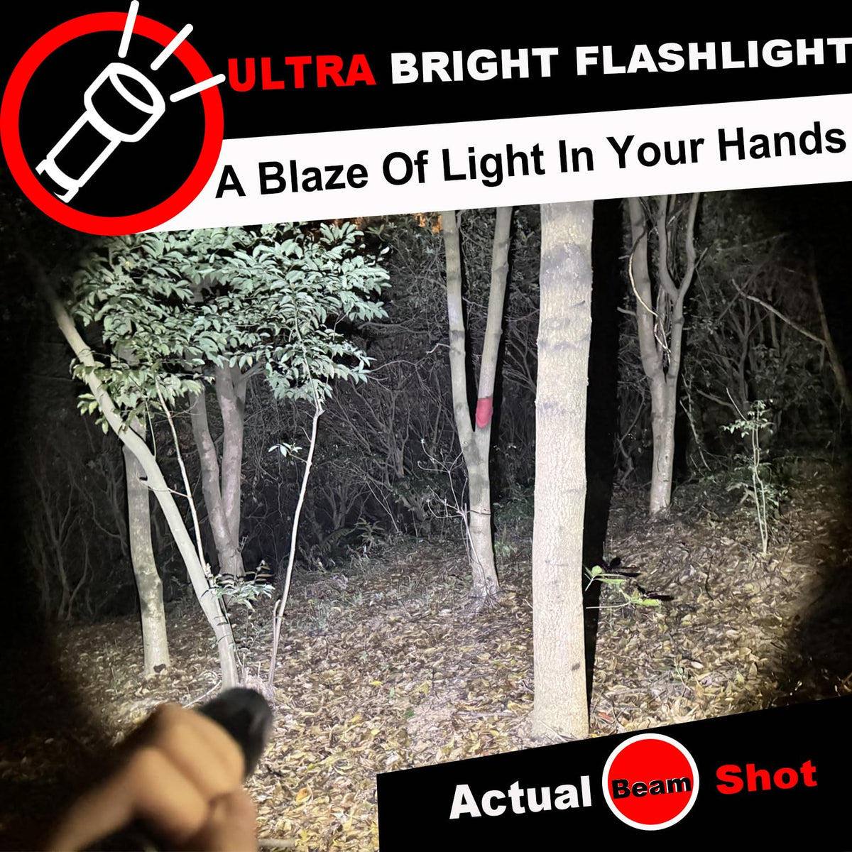HinsGEAR 1 Mode Flashlights 10 Pack, Bright Zoomable LED Tactical Flashlight High Lumens, Water Resistant Portable Pocket Flash Light for Emergency, Camping Essentials, Gift - SL2000