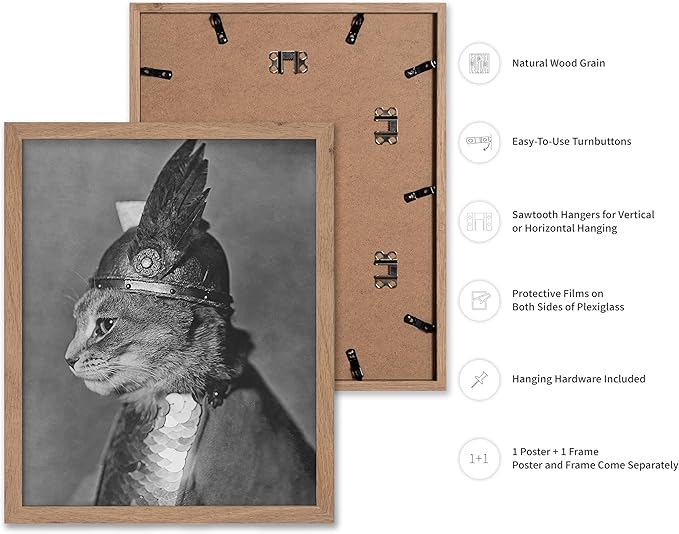 Poster Master Vintage Armored Cat