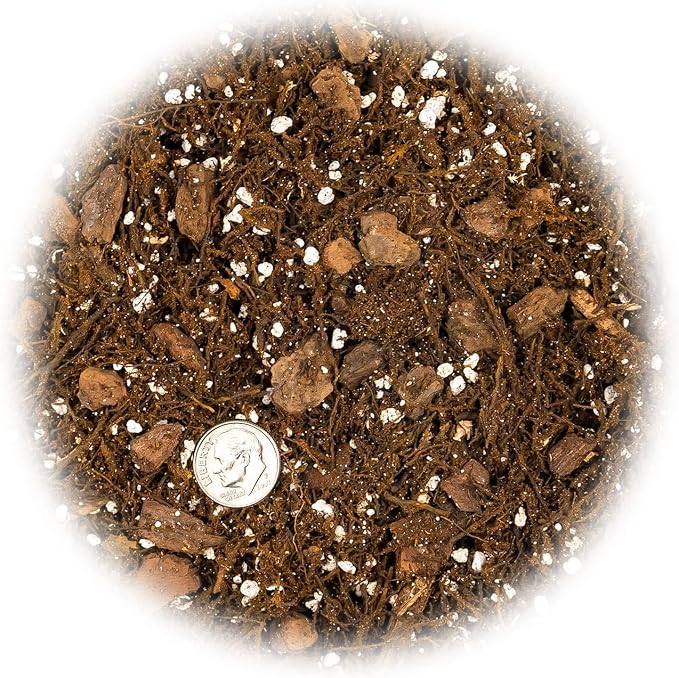 Premium Gardenera House Plant Potting Mix | Fern + New Zealand Bark + Perlite | Great for Pothos, Spider Plants, Montsera, Philodendron, English Ivy - 1 Quart Bag