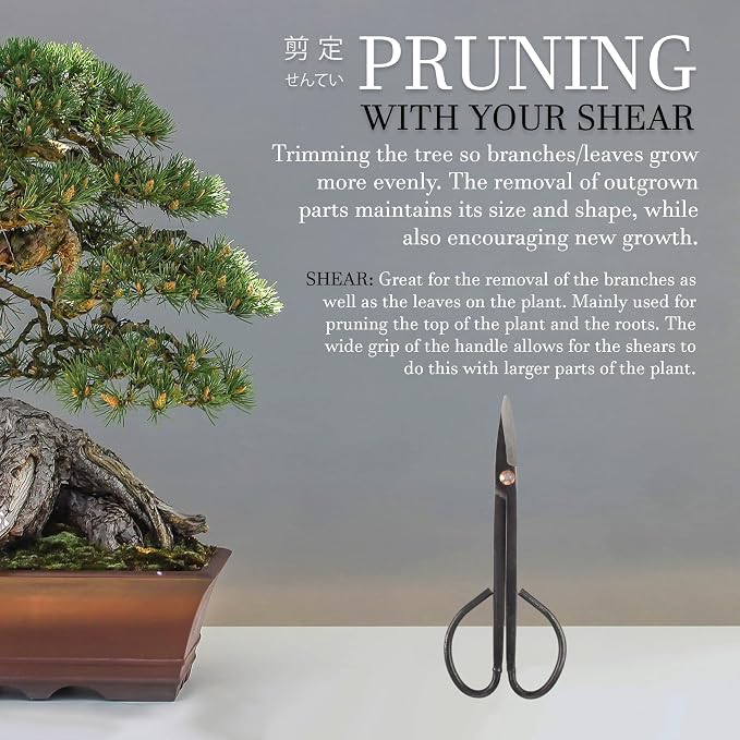 BambooMN 7.2" Black Bonsai Trimming Shear - 1 Piece