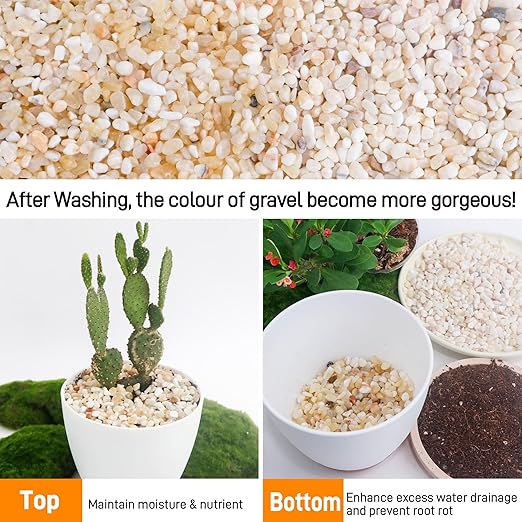 CJGQ 18lb Aquarium Gravel for Plants,1/5 Inch Natural Decorative River Rocks for Succulent and Cactus Landscaping, Natural Small Rocks for Fish Tanks, Vases & Terrariums