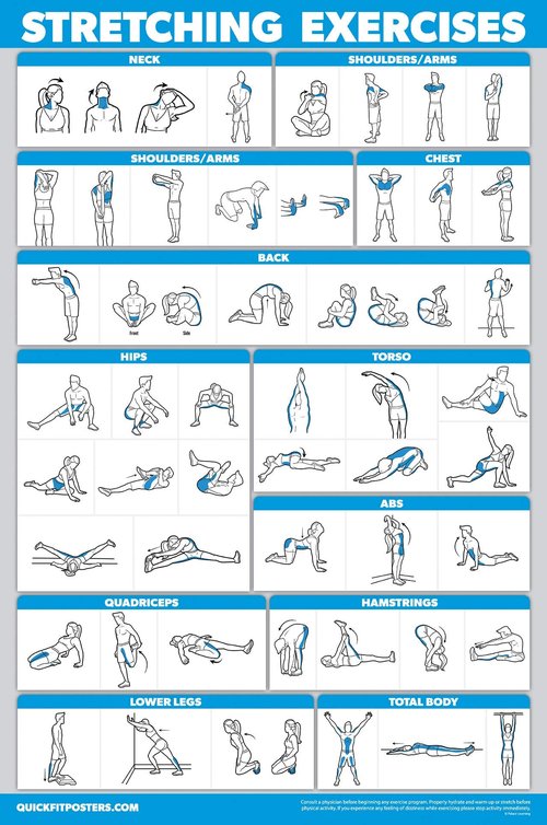 11 Pack - Exercise Poster Set, Dumbbell, Suspension, Kettlebell, Resistance Bands, Stretching, Bodyweight, Barbell, Yoga, Exercise Ball, Muscular System, Medicine Ball (LAMINATED, 18" x 24")