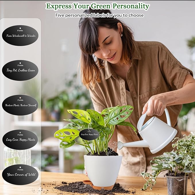 6 Inch Self Watering Pots for Indoor Plants(5-Pack) – Small Plastic Planters with Water Level Window, Drainage Holes & Detachable Trays, Indoor Outdoor Flower Pots for Herbs, Snake,Pothos(White)