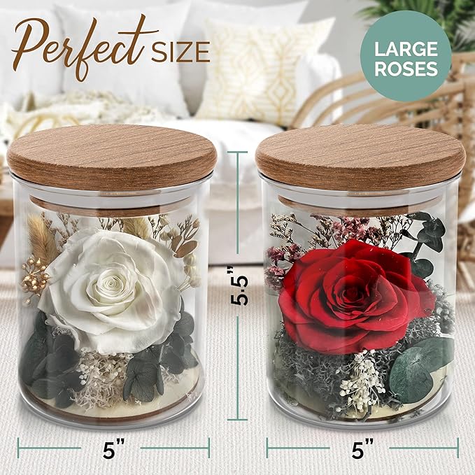 Red Rose in a Glass Dome - Premium Real Roses that Last a Year or More - Mother's Day Unique Gifts For Her Preserved Roses - Forever Flower Decor Preserved Flowers - Eternal Rose Display
