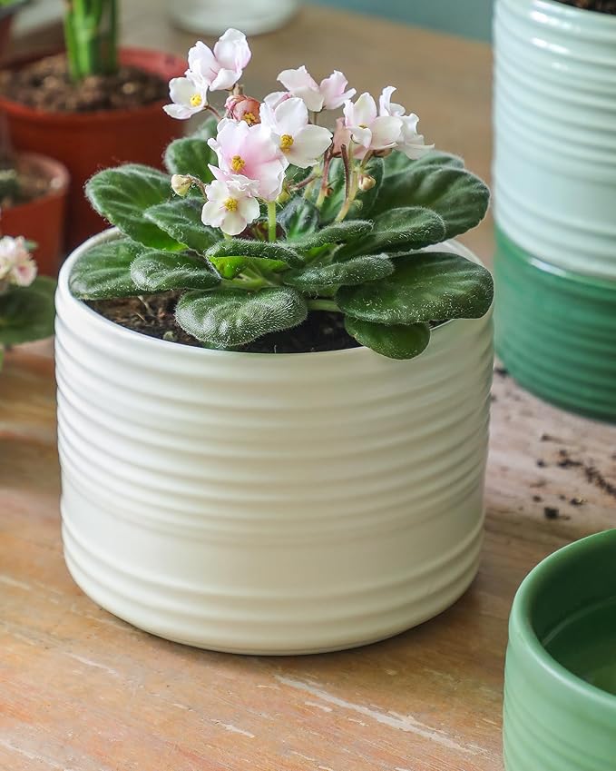 Fayoula Self Watering Pots for Indoor Plants, 6 Inch Ceramic Self Watering Plant Pot, Planter Pot with Wick Rope and Drainage Hole for African Violet Succulent Herbs (White Matte)