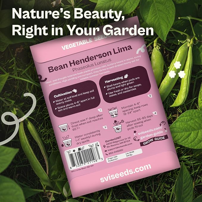 SVI 75 Henderson Lima Bean Seeds (Phaseolus lunatus) – Bush Baby Lima Beans Seed Packets, Green Beans – Heirloom Vegetable Seeds for Outdoor Home Garden, Containers