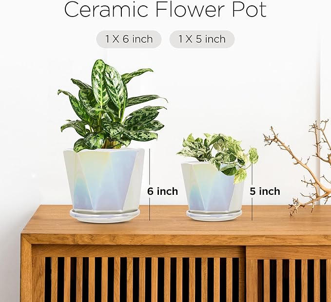 Coco Andrea Ceramic Plant Pots for Indoor Plants with Drainage & Saucers - 5-inch Iridescent White Planters for Houseplants, Succulents & Flowers - 2-Piece Housewarming Gift Set (2, Large)