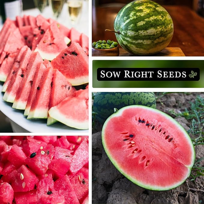 Sow Right Seeds - Crimson Sweet Watermelon Seeds for Planting - Non-GMO Heirloom Packet with Instructions to Plant a Home Vegetable Garden - Large Red Melon with Sweet Flesh - Summer Variety (1)