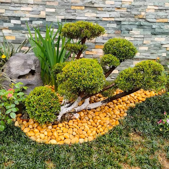 YISZM Rocks for Plant 2lbs, Yellow River Rocks 1-2 Inch Natural Pebbles for Indoor Plants, High Polished Decorative Stones Vase Filler Fish Tank Aquariums Landscaping Garden