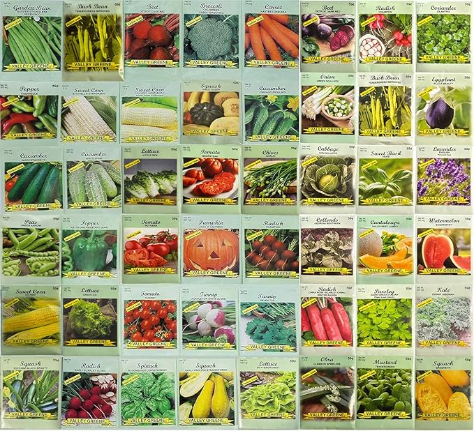 Set of 100 Packs of Valley Greene Assorted Heirloom Vegetable Seeds 100% Non-GMO