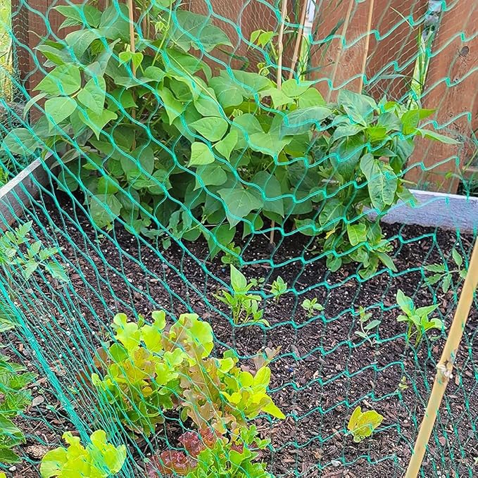 Bird Netting for Garden, 13Ft x 33Ft Green Anti Bird Protection Net, Plant Tree Netting for Protecting Fruit and Vegetables with 50 Ties and 20 Tacks