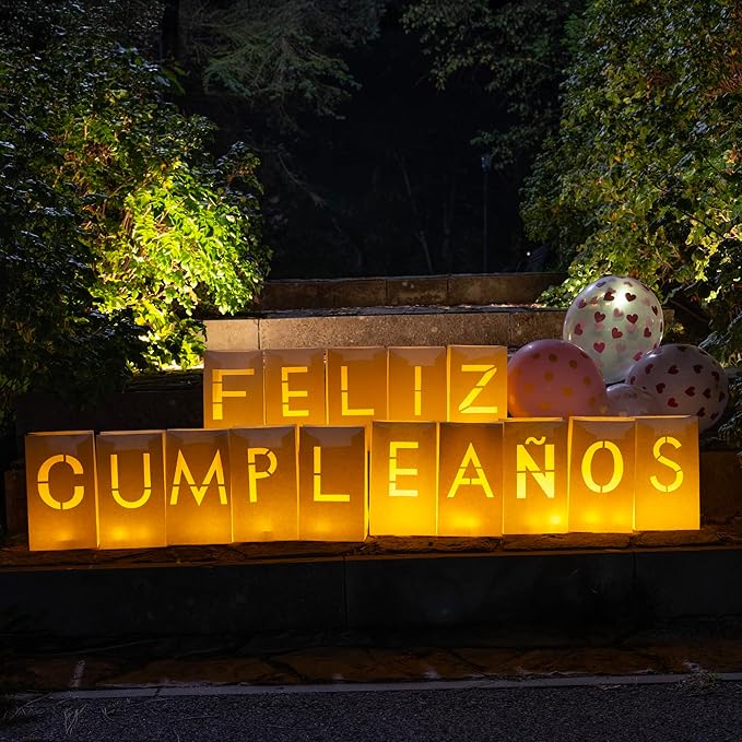 Feliz Cumpleaños Happy Birthday Light Up Letters in Spanish - Luminary Bags Happy Birthday Decorations with Tea Lights Candles and Rose Petals - Feliz Cumpleaños Banner For Your Loved One