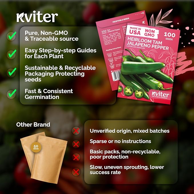KVITER 100 Tam Jalapeno Pepper Seeds for Planting (Capsicum Annuum) – Mild Spice, Perfect Stuffer Peppers Heirloom Seed, 1000-1500 SHU Hot Jalapeno – Vegetable Seeds for Outdoor & Indoor Garden