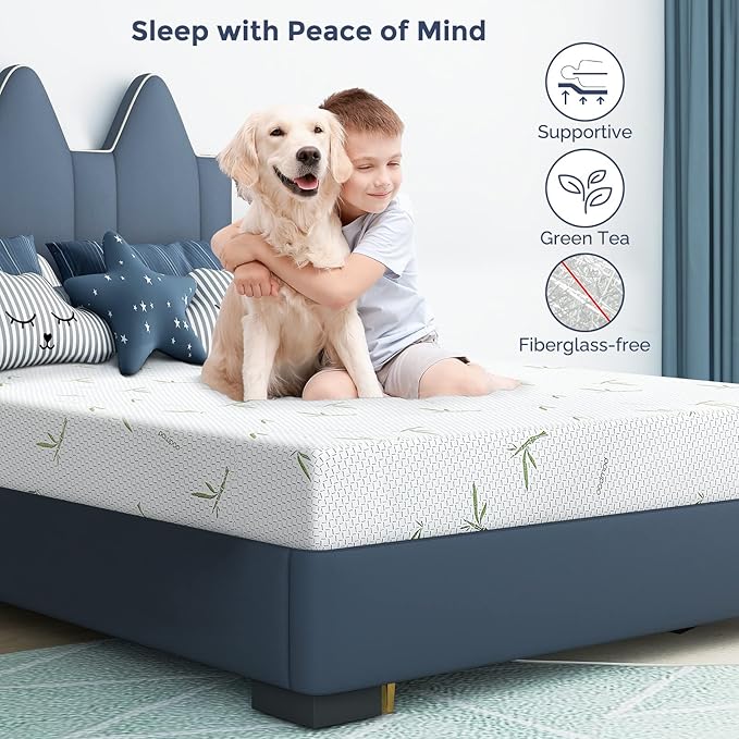 IULULU Queen Mattress in a Box, 6 Inch Memory Foam Mattress with Breathable Bamboo Cover, Green Tea Queen Size Mattress Made in USA for Cool Sleep, Medium Firm, CertiPUR-US Certified