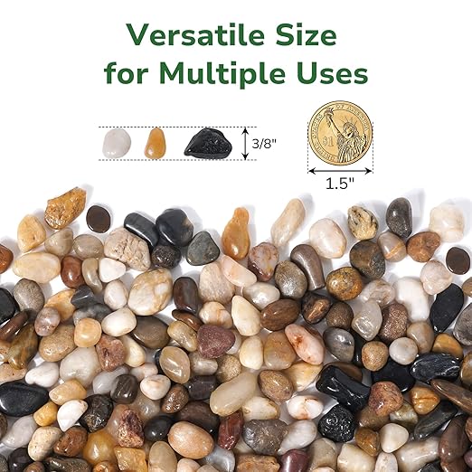 GreatBuddy 10-lb Pebbles for Indoor Plants, 3/8" Pea Gravel for Vases, Small Rocks for Succulents, Fish Tanks, Aquariums, Terrarium, Drainage Pebbles for Potted Plants, River Rocks for Landscaping