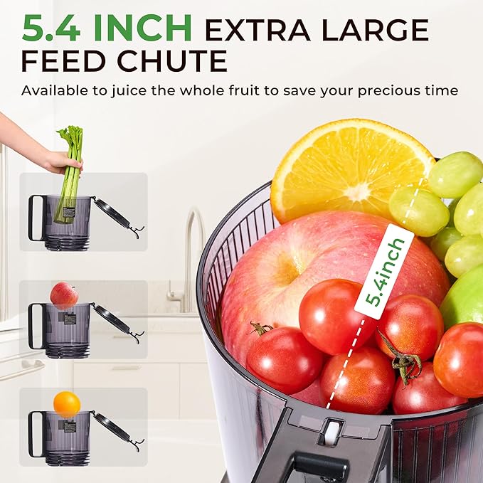Masticating Juicer with 250W DC Motor, 5.4" Wide Feed Chute, Slow Cold Press Juice Extractor for Whole Fruits & Vegetables, High Juice Yield (DC-Gray)