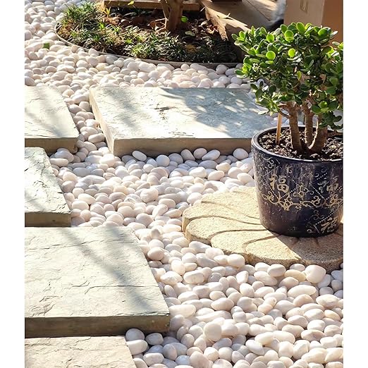 FANTIAN 10 lbs White Pebbles for Indoor Plants, 0.8-1.2 Inch Small White River Rocks Stones for Planters, Vases, Fish Tank, Garden, Landscaping, Top Dressing and Bottem Drainage