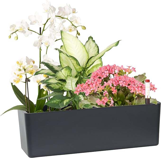 Elongated Self Watering Planter Pots Window Box 5.5 x 16 inch Indoor Home Garden Modern Decorative Planter Pot for All House Plants Flowers Herbs (Dark Grey,1-Pack)