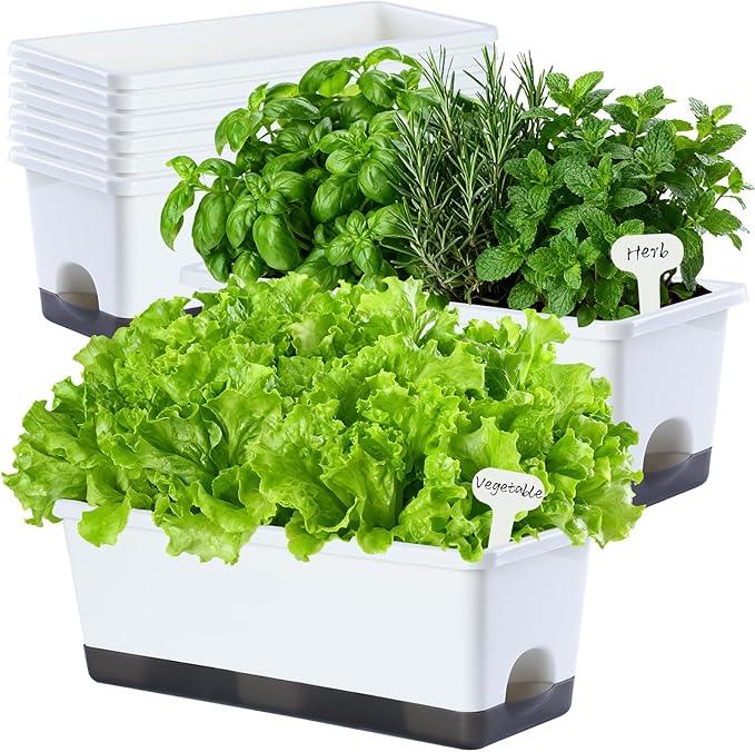 Oliz Window Box Planter 8 Pcs, 17 Inches Rectangle Flower Pots with Drainage Holes & Trays, Vegetable Planters for Windowsill Patio Garden Balcony Home Indoor Outdoor (White, 16 * 7 * 6 inch)
