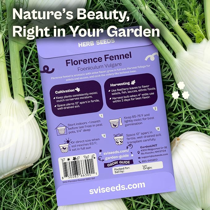 SVI 1000 Florence Fennel Seeds (Foeniculum vulgare) – Sweet Fennel Seed Packets Bulk Natural Herbs – Open Pollinated Heirloom Herb Seeds, Full Sun Outdoor Herb Garden & Indoor Herbs, Containers