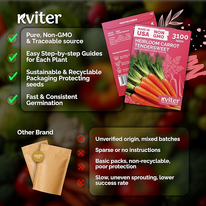 KVITER 3100 Tendersweet Carrot Seeds for Planting (Daucus carota) –Non GMO Vegetable Seeds for Outdoor Garden – Sweet Heirloom Carrots – Carrot Seed Packets for Home Garden, Beds, Containers