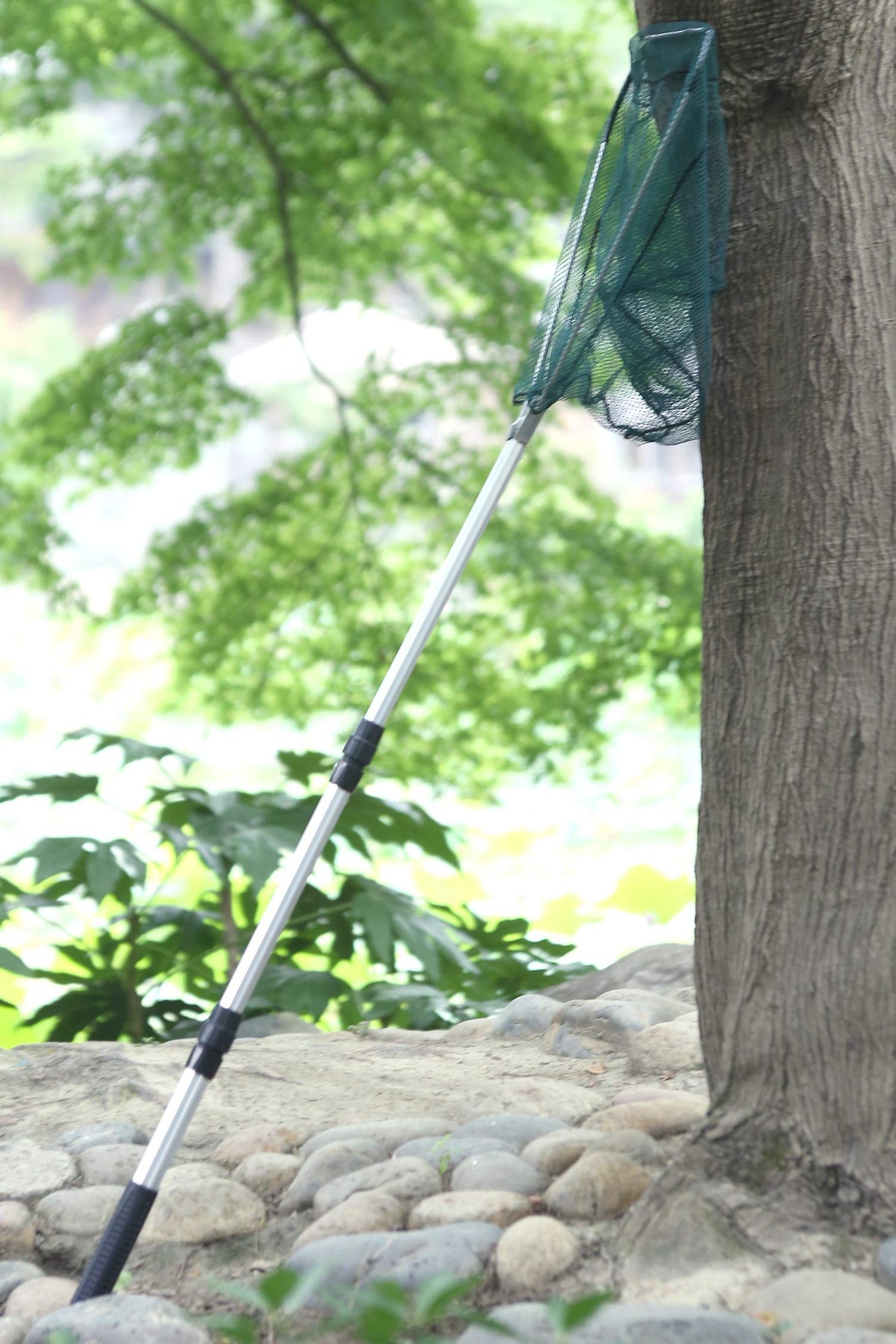 Fishing Landing Net with Telescoping Pole Fishing Net Freshwater Fishing Net for Pond, Handle Full Extended to 50 Inches