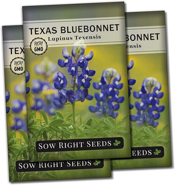 Sow Right Seeds - Texas Bluebonnet Seeds to Plant - Non-GMO Heirloom Seeds -Full Instructions for Planting - Beautiful Perennial Blue Blooms -Sweet Addition to Your Yard (3)