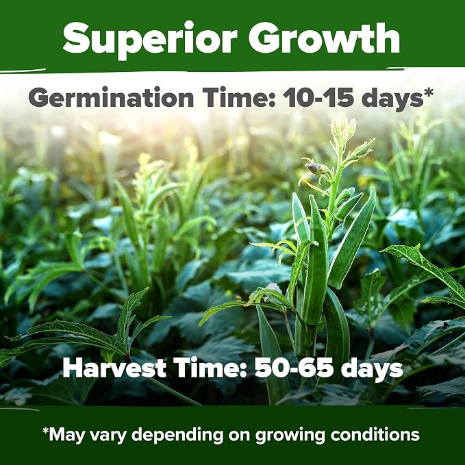 HOME GROWN Clemson Spineless Okra Seeds 202+ Heirloom Non-GMO Seeds for Planting, High Germination, Prolific Heat Loving Vegetable, Tender Pods, Easy to Harvest Home Garden (Abelmoschus esculentus)