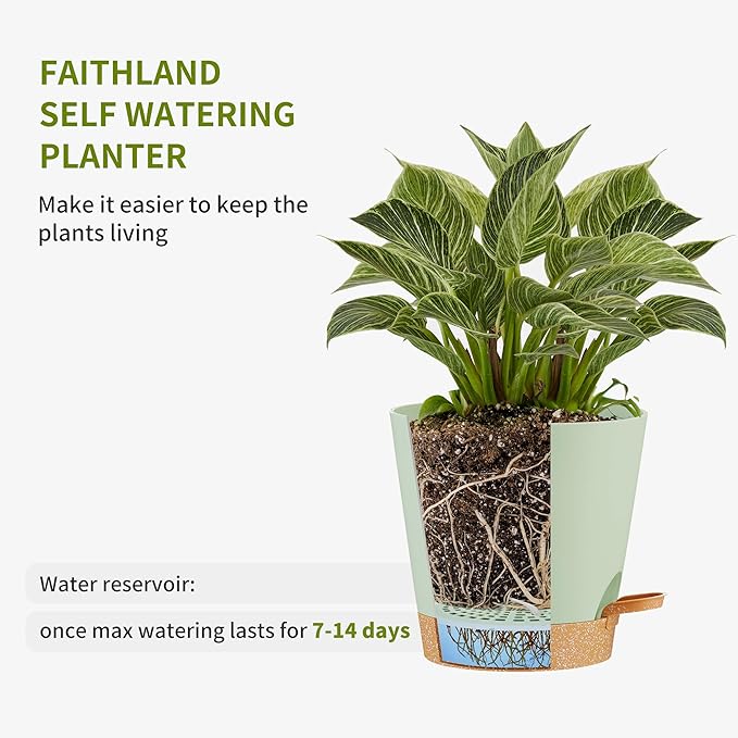 FaithLand 2-Pack 8 Inch Planter Pots for Indoor Outdoor Plants, Self Watering Flower Pots with Deep Reservoir, Green with Terracotta …