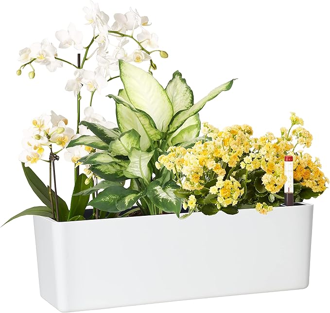 Elongated Self Watering Planter Pots Window Box 5.5 x 16 inch Indoor Home Garden Modern Decorative Planter Pot for All House Plants Flowers Herbs (White,1-Pack)