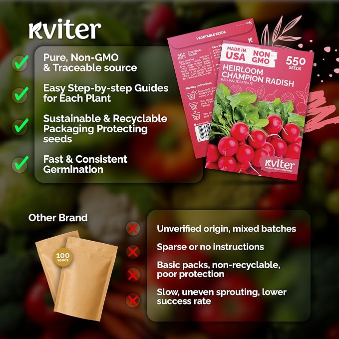 KVITER 550 Champion Radish Seeds (Raphanus Sativus) - Red Radish, Crisp Firm Roots, Non-GMO, Fast Growing, Heirloom Seed Packets- Ideal Vegetable Seeds for Home Garden, Containers, Outdoor Beds