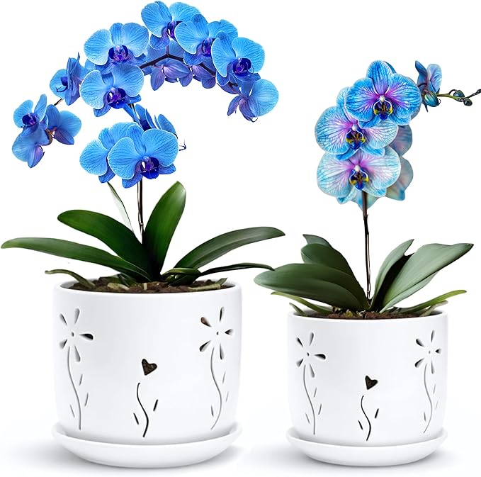2 Pack, 5 + 6 Inch White Orchid Pots with Holes and Saucer, Ceramic Orchid Planters for Repotting with Drainage Holes and Tray, Plant Flower Pot containers for Orchid Indoor Outdoor