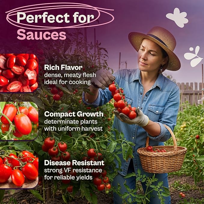 SVI 300 VF Roma Tomato Seeds (Solanum lycoperscium) – Italian Plum Tomato Paste Seed Packets, Determinate Roma Tomatoes – Non GMO Heirloom Vegetable Seeds for Gardens, Raised Beds, Containers