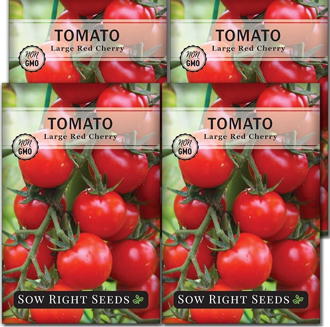 Sow Right Seeds - Large Red Cherry Tomato Seeds for Planting - Non-GMO Heirloom Packet with Instructions to Plant a Home Vegetable Garden - Tasty Snacking Variety, Start Indoors - Indeterminate (4)