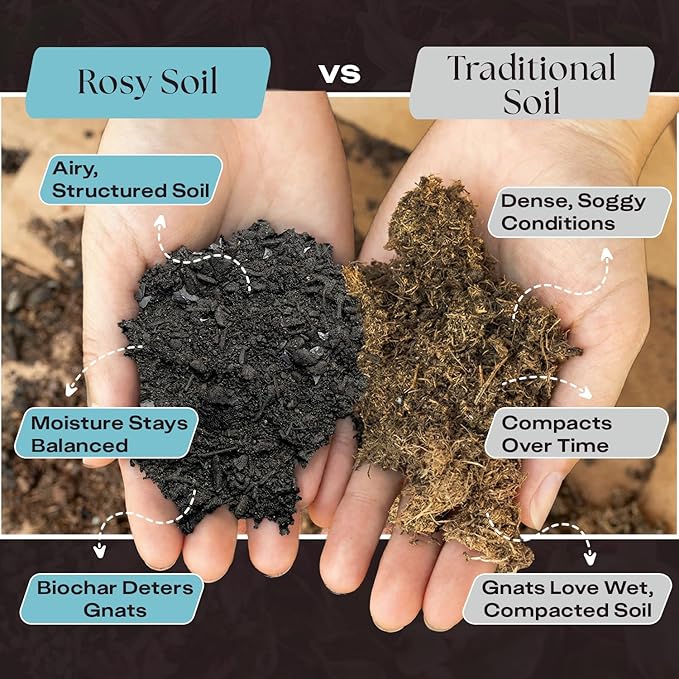 Rosy Soil Houseplant Potting Soil, Organic Indoor Potting Mix with Biochar and Worm Castings for Monstera, Pothos, Tropical Indoor Plants - Peat Free - 8qt