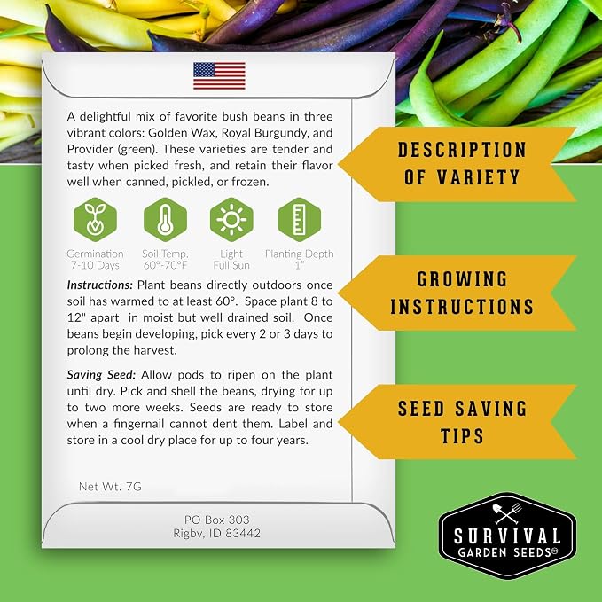 Tri Color Blend Bush Bean Seeds for Planting - Mix of Green, Yellow Wax, & Purple Beans with Stringless Pods - 3 Non-GMO Heirloom High Yield Varieties - Survival Garden Seeds (2 Packs)