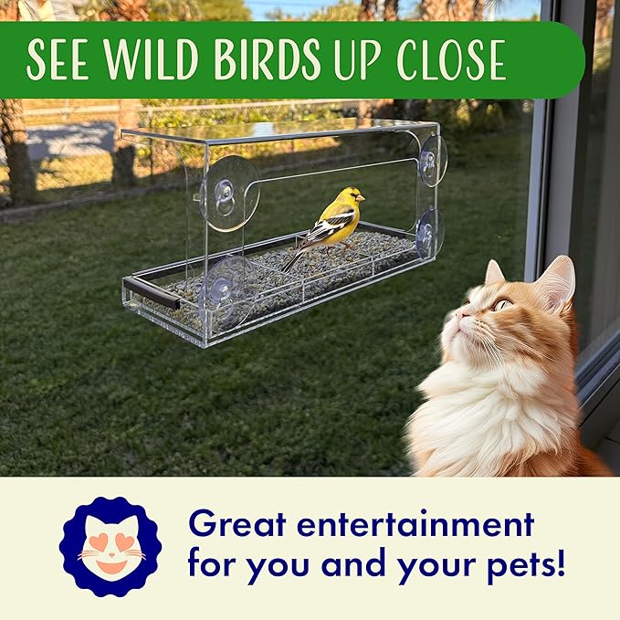 Long Style Bird Feeder with Hole