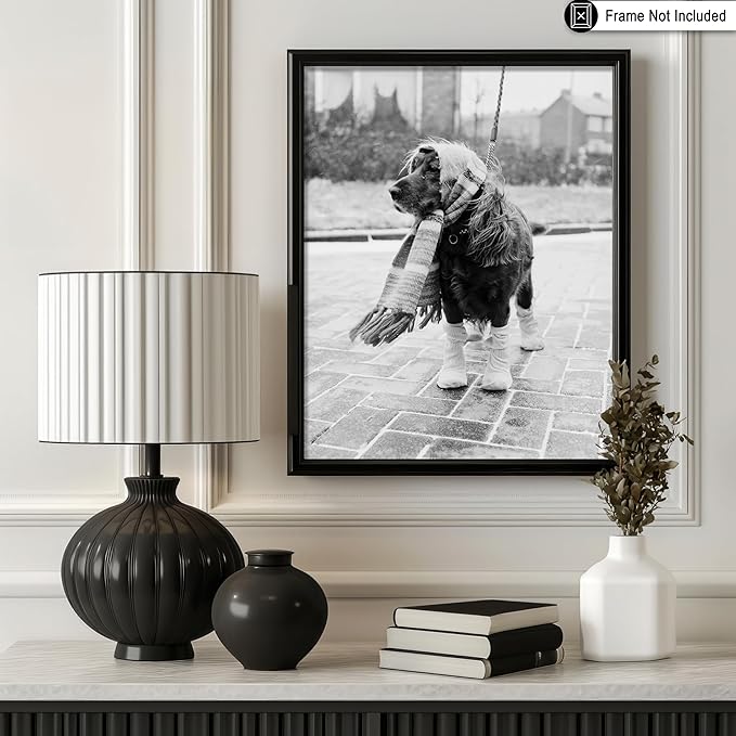 Poster Master Vintage Dog Dressed