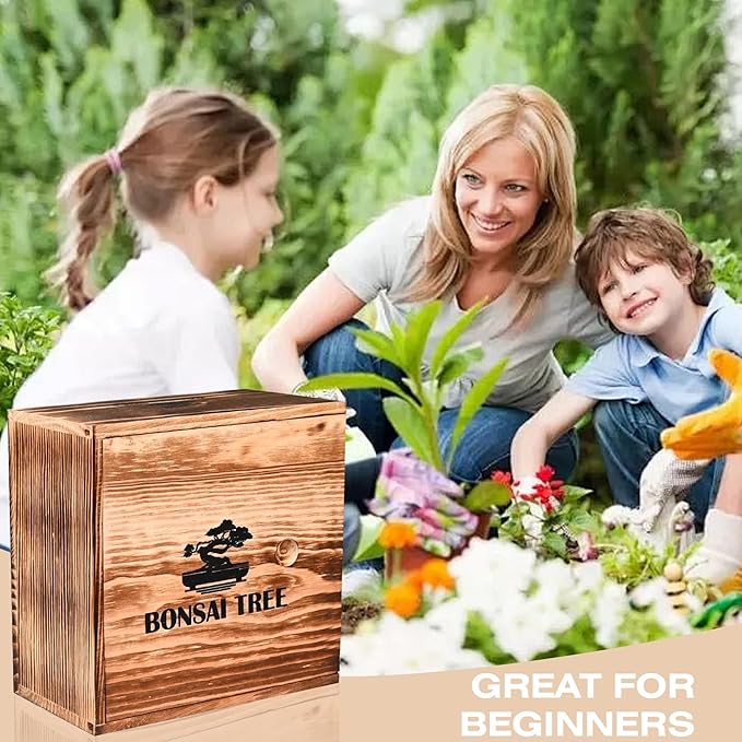 Bonsai Garden Starter Kit, 4 Seeds Growing into Sakura, Ginkgo, Black Pine, Red Flame, Including Complete Gardening Tools & A Planter Box with Cover for Men Women Beginners