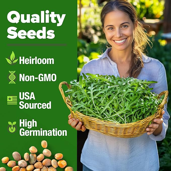 HOME GROWN Arugula Roquette Seeds 4350+ Bulk Pack Heirloom Non-GMO, High Germination, Peppery Salad Greens, Indoor Outdoor Hydroponic Garden, Microgreens, Year-Round Harvest (Eruca vesicaria)