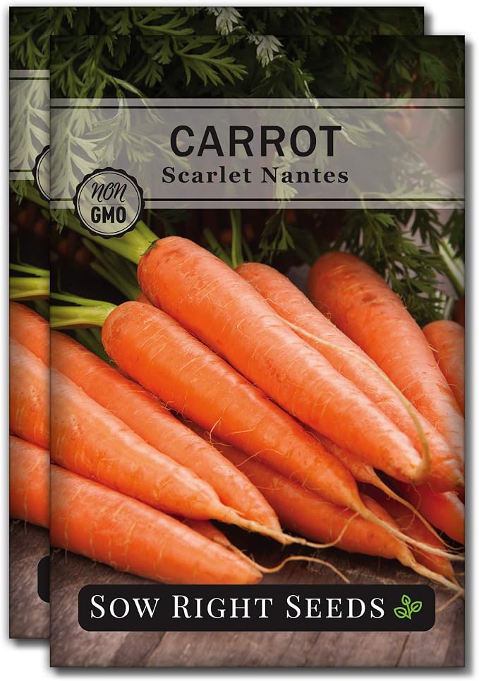 Sow Right Seeds - Scarlet Nantes Carrot Seed for Planting - Non-GMO Heirloom Packet with Instructions to Plant a Home Vegetable Garden - Indoors or Outdoor - Sweet and Vibrant Variety (2)