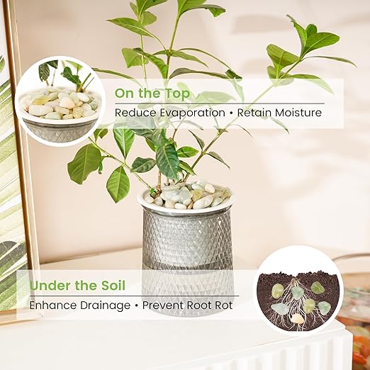 SIDONG 20 LB Jade Pebbles, 2/5 Inch Natural Decorative Polished Jade Stones, Jade River Rocks for Succulents, Cactus, Vases, Indoor Plants, Garden Landscaping, Bamboo