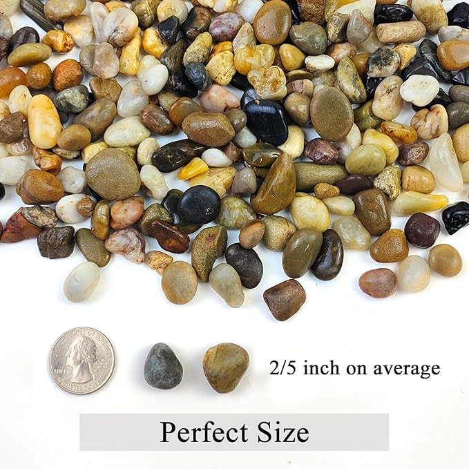 FANTIAN 5 lbs Gravel for Fish Tank, 2/5 Inch Mixed Color River Rocks for Aquarium, Vase Fillers, Cactus Bonsai, Plant Soil Cover and Outdoor Garden Landscaping Rocks