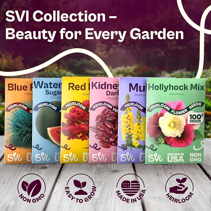 SVI 100 Golden 8 Bantam Corn Seeds (Zea mays) – Yellow Sweet Corn Seed Packets, Early Maturing Maiz – Non GMO Heirloom Vegetable Seeds for Outdoors, Vegetable Garden Rows