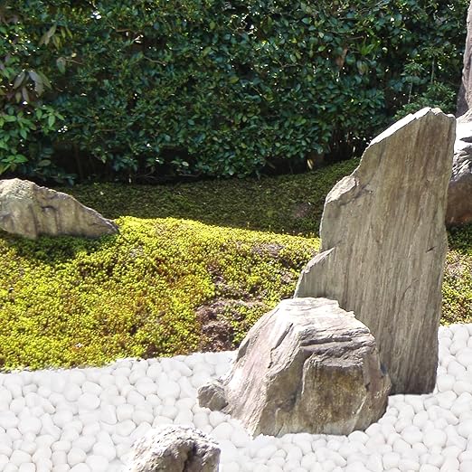 Pulovin 15 lbs White Rocks for Landscaping, 1-2 inch Large White Rocks for Plants, Decorative Polished Stones for Garden, Walkways, Yard, Plants Pots, Vases, Crafts