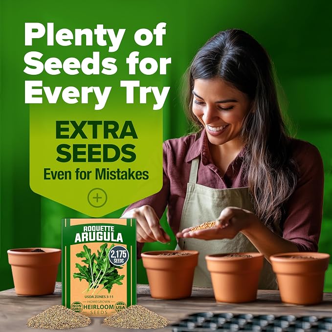HOME GROWN Arugula Roquette Seeds 2,175+ Heirloom Non-GMO Seeds for Planting, High Germination, Fast Growing Peppery Salad Greens, Indoor Outdoor Hydroponic Garden, Microgreens (Eruca vesicaria)