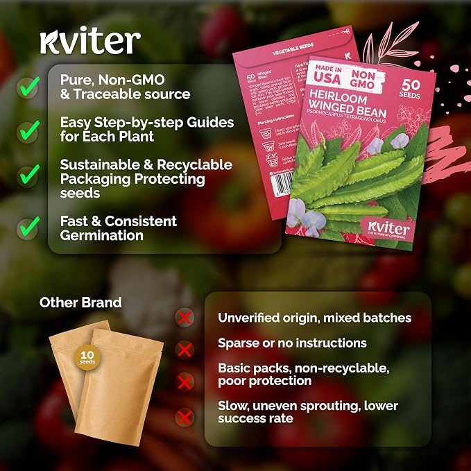 KVITER 50 Winged Bean Seeds (Psophocarpus Tetragonolobus) – Heirloom Goa Bean, High-Protein, Heat-Tolerant, Non GMO Seed Packets - Ideal Vegetable Seeds for Outdoor Garden, Raised Beds & Containers