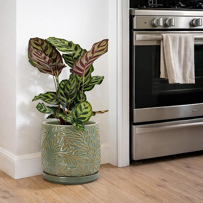 D'vine Dev 8 Inch Embossed Leaves Stoneware Planter Pot with Drainage Hole and Saucer, Olive, 27-A-Q-0