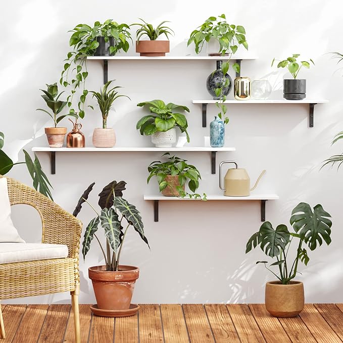 DINZI LVJ Long Wall Shelves, 23.6 Inch Wall Mounted Shelves Set of 2,